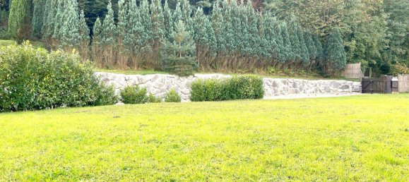 25غرفة فيلا في Grein, Austria رقم 81860 5