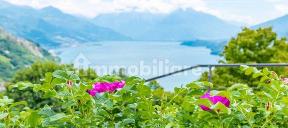 Дом с 3 спальнями в Пьянелло дель Ларио, Италия № 97512 46