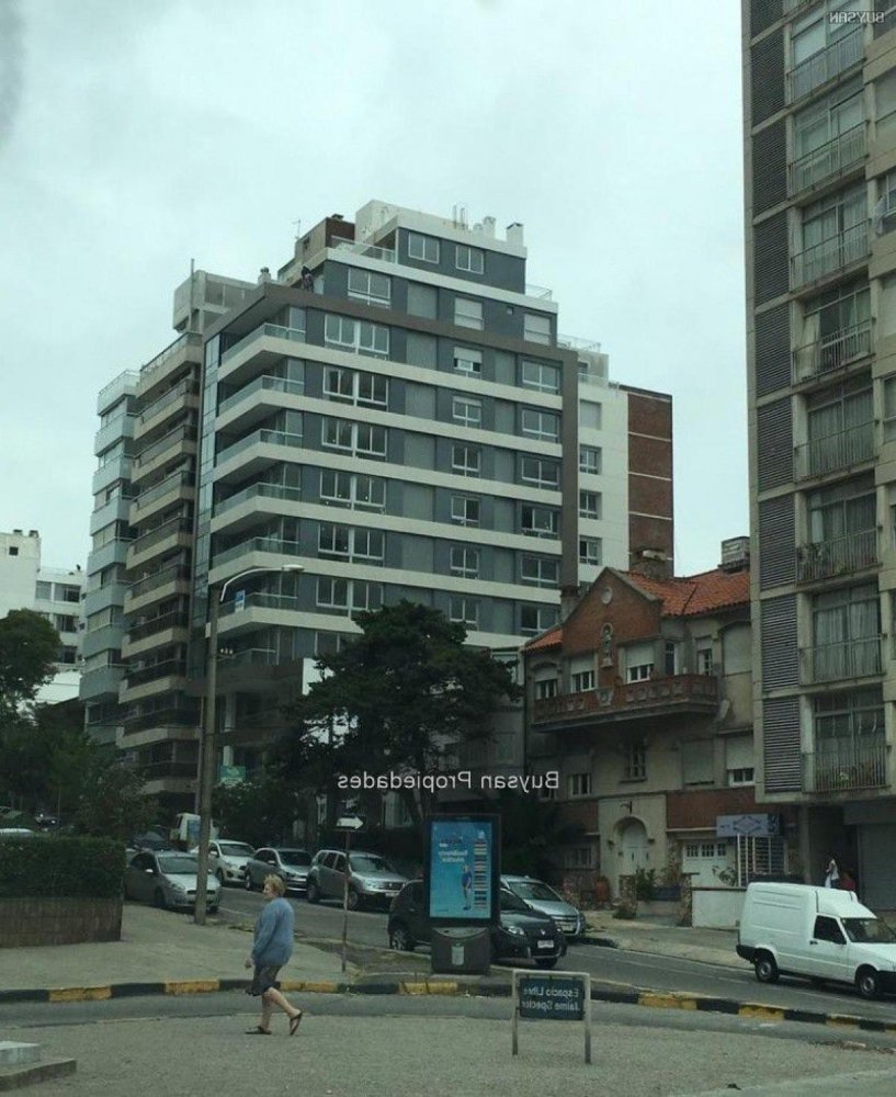 Студия в Монтевидео, Уругвай № 12609