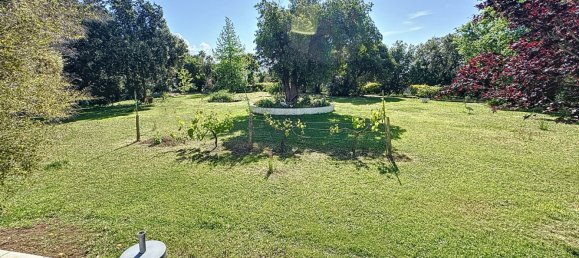 3 Schlafzimmer Haus in San-Giuliano, France, Nr. 69777 9