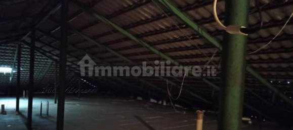 5-Zimmer Lagerhaus in Tortoreto, Italy, Nr. 285700 4