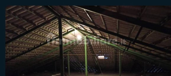 5-Zimmer Lagerhaus in Tortoreto, Italy, Nr. 285700 2