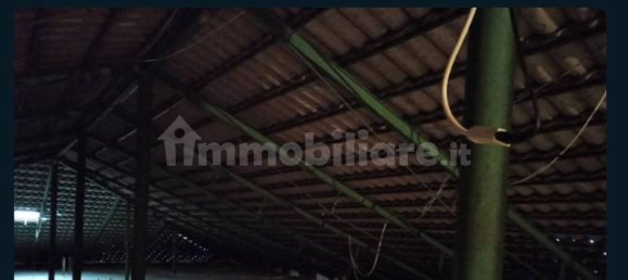 5-Zimmer Lagerhaus in Tortoreto, Italy, Nr. 285700 5