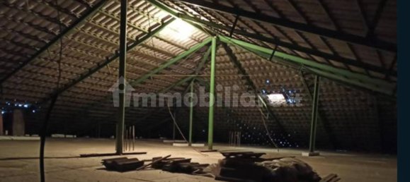 5-Zimmer Lagerhaus in Tortoreto, Italy, Nr. 285700 11