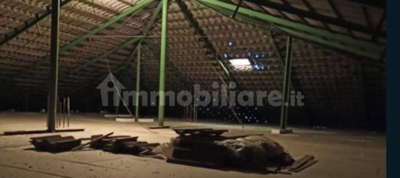 5-Zimmer Lagerhaus in Tortoreto, Italy, Nr. 285700 3