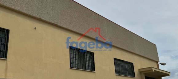 1 room Warehouse in Trani, Italy No. 177972 8