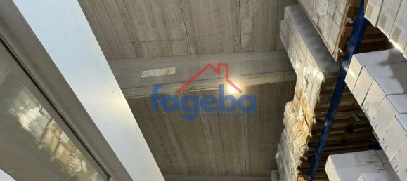 1 room Warehouse in Trani, Italy No. 177972 2