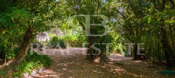 10 Schlafzimmer Haus in Sintra, Portugal, Nr. 141774 27