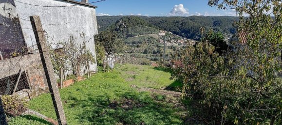 2 Schlafzimmer Haus in Penacova, Portugal, Nr. 36753 24