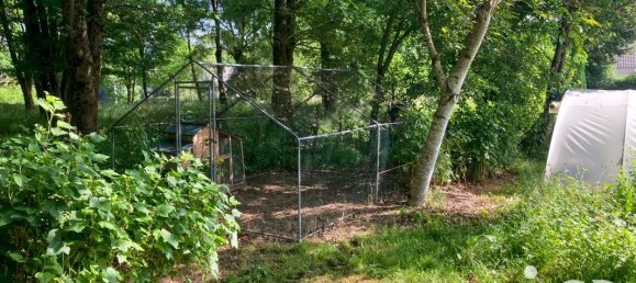 4 bedrooms House in Ussel, France No. 319864 8