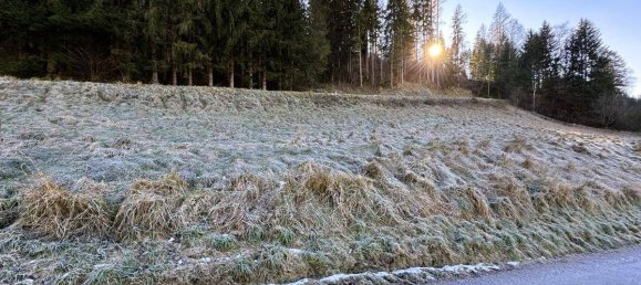 Terrain à Liezen, Austria 2090m² No. 94306 4