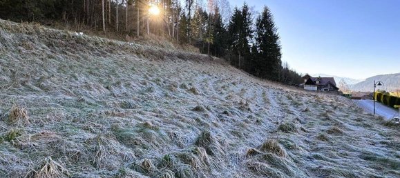 Terrain à Liezen, Austria 2090m² No. 94306 3