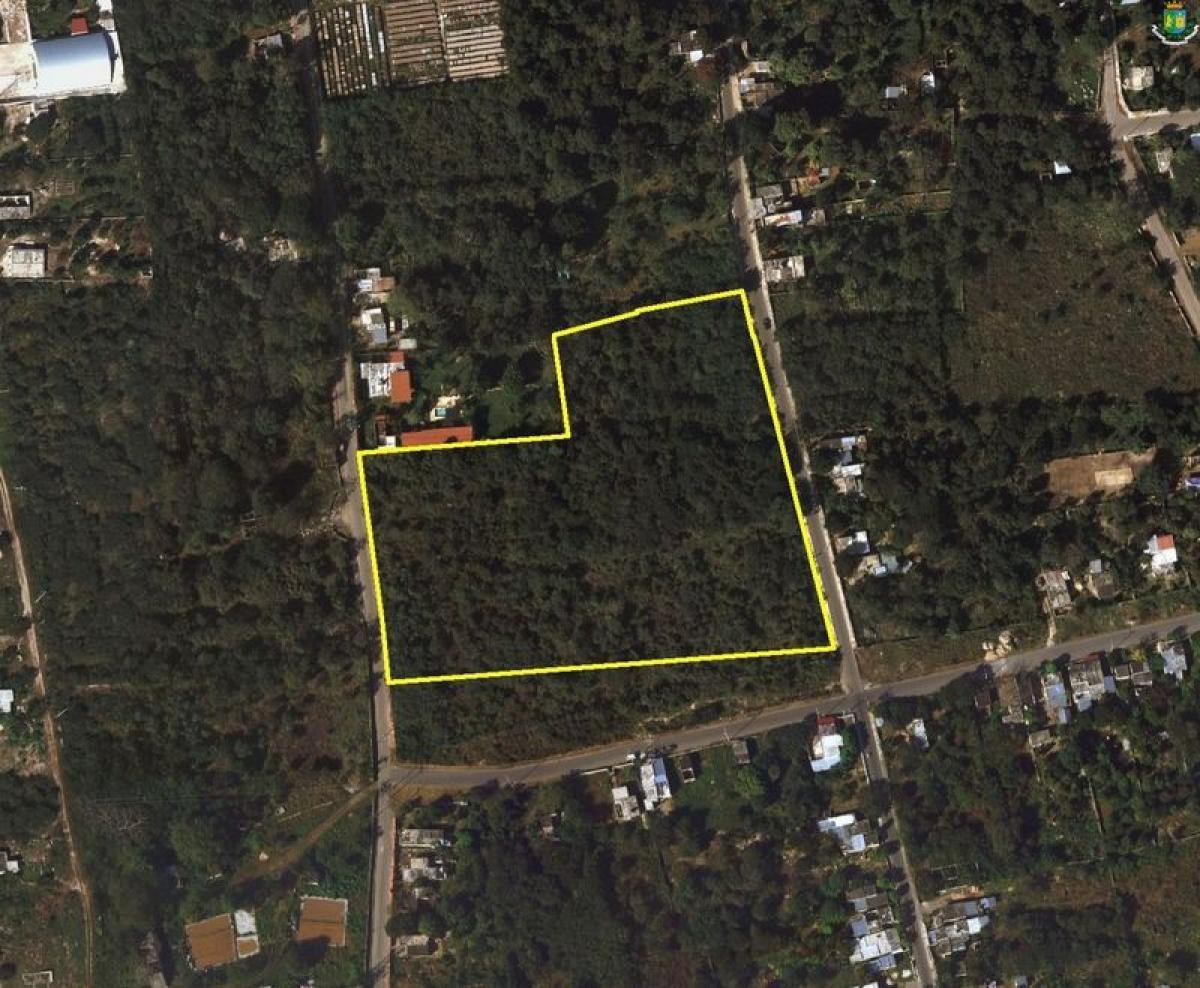  Land in Merida, Mexico No. 124834