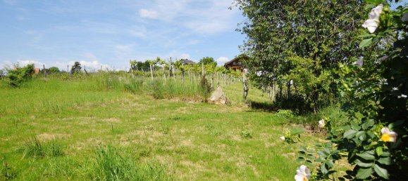 4 rooms Apartment in Graz-Umgebung, Austria No. 173124 3