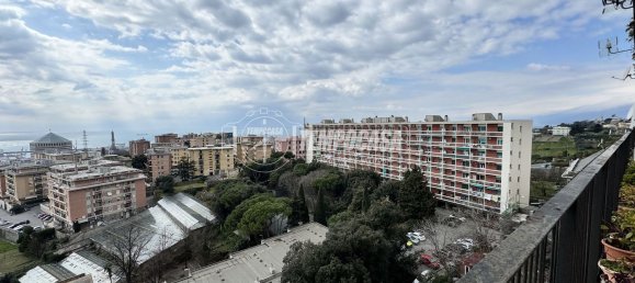 6 rooms Apartment in Genoa, Italy No. 38489 20