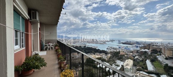 6 rooms Apartment in Genoa, Italy No. 38489 23