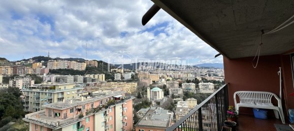6 rooms Apartment in Genoa, Italy No. 38489 35