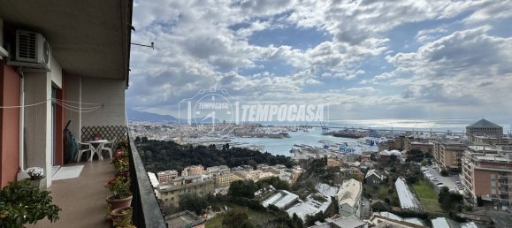 6 rooms Apartment in Genoa, Italy No. 38489 24