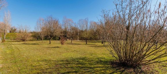 5 rooms House in Quarto d'Altino, Italy No. 11614 7