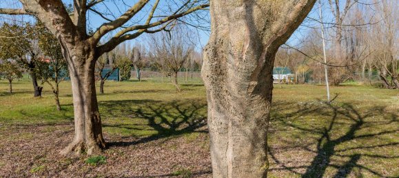 5 rooms House in Quarto d'Altino, Italy No. 11614 53