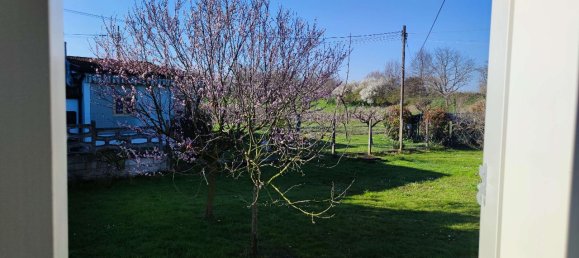 5 rooms House in Quarto d'Altino, Italy No. 11614 25