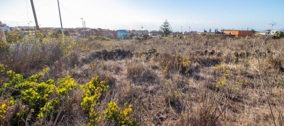 9807m² Land in El Rosario, Spain No. 69355 71