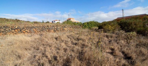 9807m² Land in El Rosario, Spain No. 69355 26