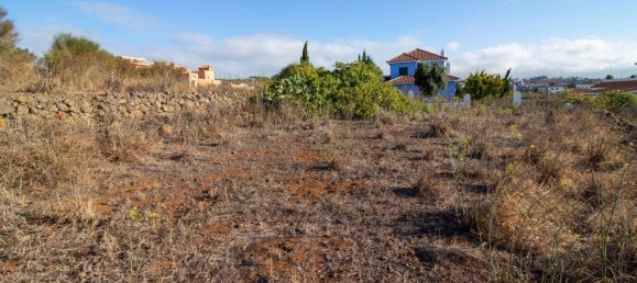 9807m² Land in El Rosario, Spain No. 69355 61