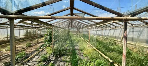 4 غرف نوم بناية في Gorlitz, Germany رقم 343048 22