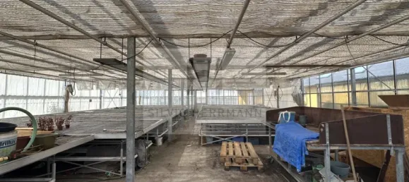 4 غرف نوم بناية في Gorlitz, Germany رقم 343048 20