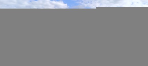 Grundstück in Pruniers-en-Sologne, France 20972m², Nr. 232755 4