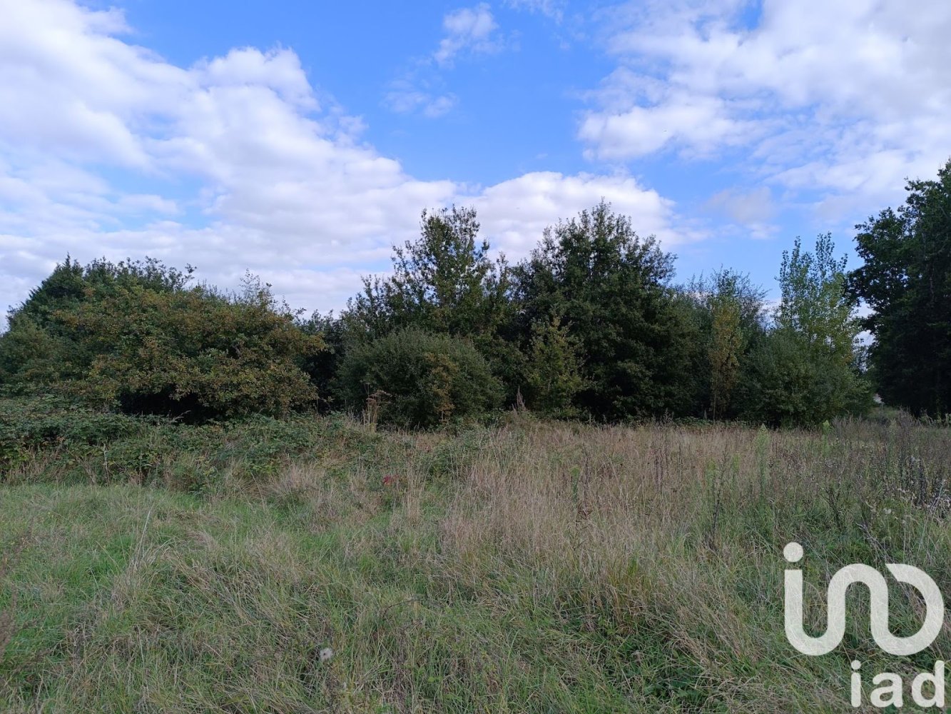 Grundstück in Pruniers-en-Sologne, France 20972m², Nr. 232755