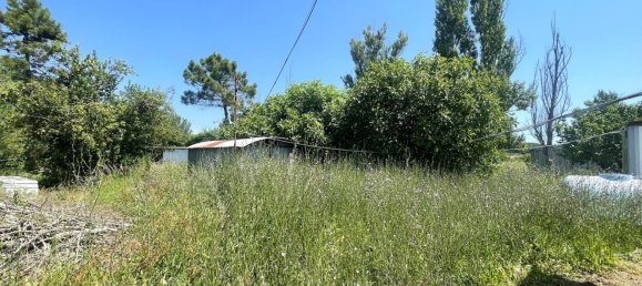 5000m² Land in Collesalvetti, Italy No. 210873 8
