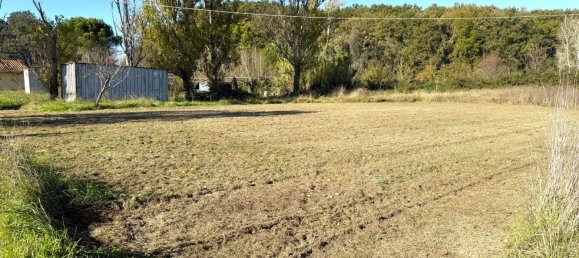 5000m² Land in Collesalvetti, Italy No. 210873 13