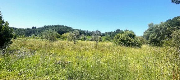 5000m² Land in Collesalvetti, Italy No. 210873 10