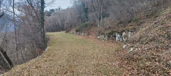 Terrain à Cavedine, Italy 2900m² No. 72693 4