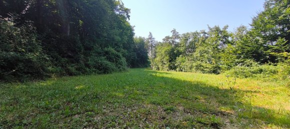 Terrain à Cavedine, Italy 2900m² No. 72693 15