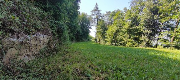 Terrain à Cavedine, Italy 2900m² No. 72693 12