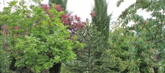 4 Schlafzimmer Gewerbliche Immobilie in Pieria, Greece, Nr. 6300 9