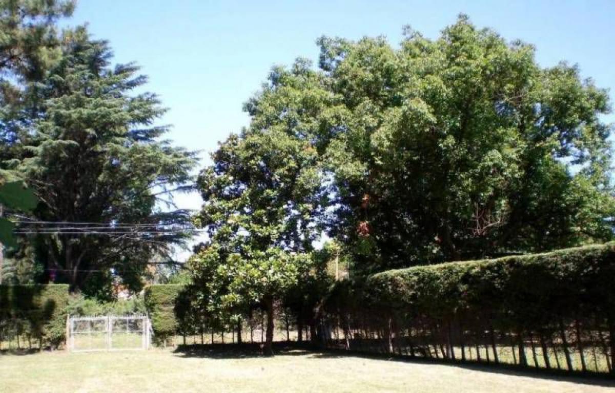  Land in Tigre, Argentina No. 32689