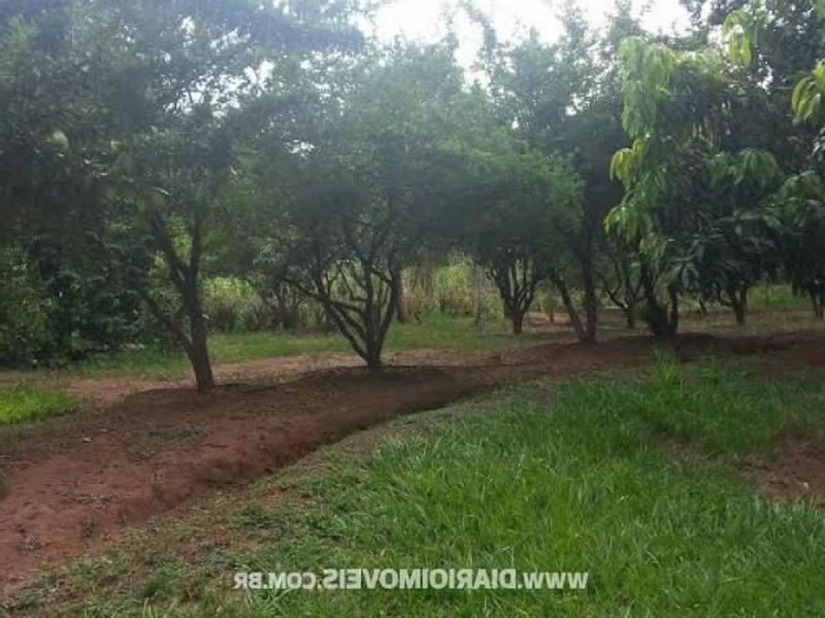 Дом с 3 спальнями в Сан-Паулу, Бразилия № 590255