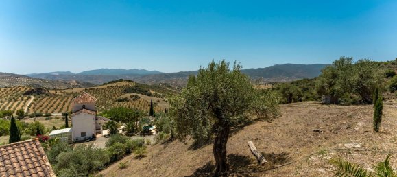 13 bedrooms Villa in Tolox, Spain No. 56368 5