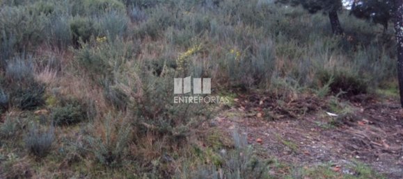 Grundstück in Marco de Canaveses, Portugal 2150m², Nr. 59586 7