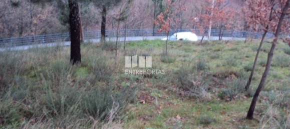 Grundstück in Marco de Canaveses, Portugal 2150m², Nr. 59586 6