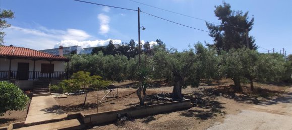 Hotel em Polygyros, Greece 13750 m² N.º 4179 13