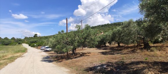 Hotel em Polygyros, Greece 13750 m² N.º 4179 17