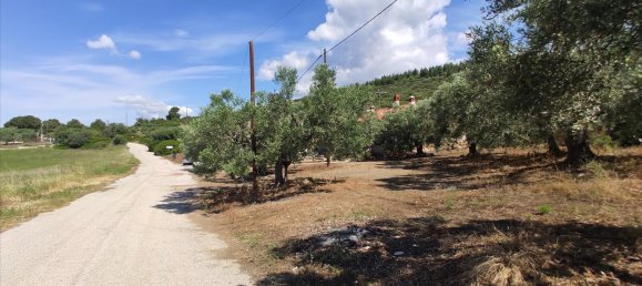 Hotel em Polygyros, Greece 13750 m² N.º 4179 14