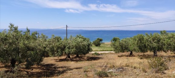 Hotel em Polygyros, Greece 13750 m² N.º 4179 7