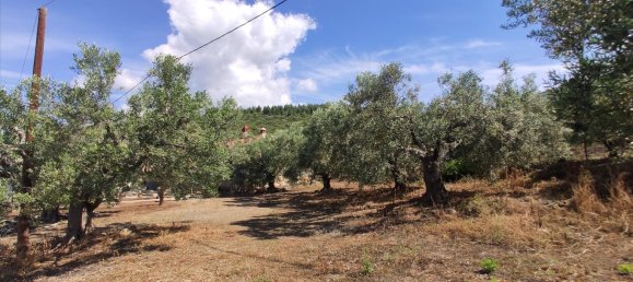 Hotel em Polygyros, Greece 13750 m² N.º 4179 16