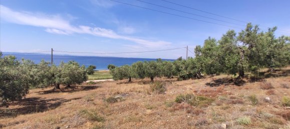 Hotel em Polygyros, Greece 13750 m² N.º 4179 4